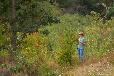 Point to point survey of the delta ponds