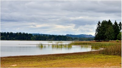 Fern Ridge Lake