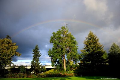 Rainbow at the owen mamoreal rose garden