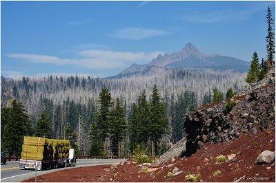 Three fingered jack