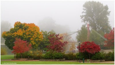 Fog and autumn colors at alton baker park