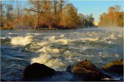 Fog on the willamette river