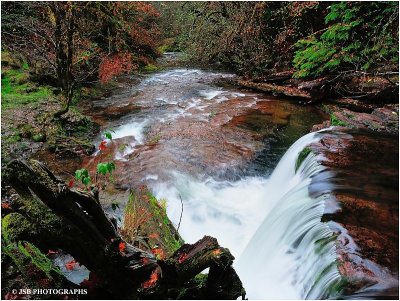 Fall creek, above the dam