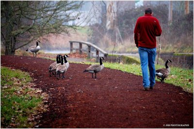 Out for a stroll