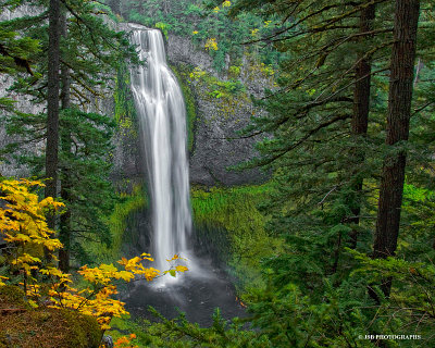 Salt Creek Falls