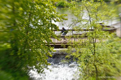 Alton baker park bridge
