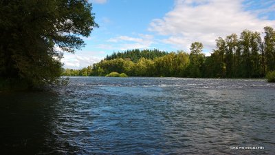 View of the willamette river
