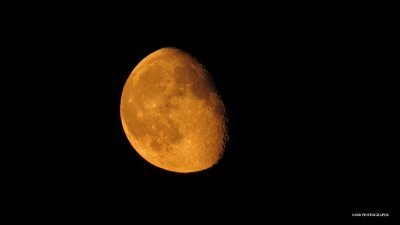 Orange Moon