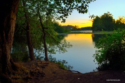 Willamette river sunset from island park