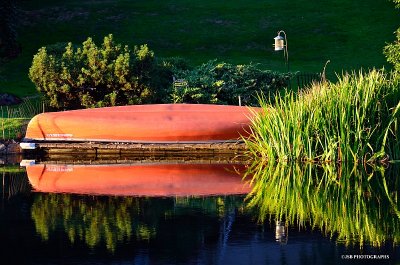 Reflections