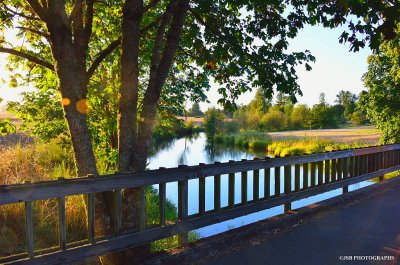 Along the bike path