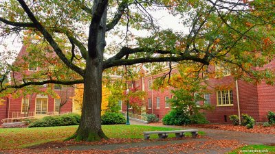 University of Oregon