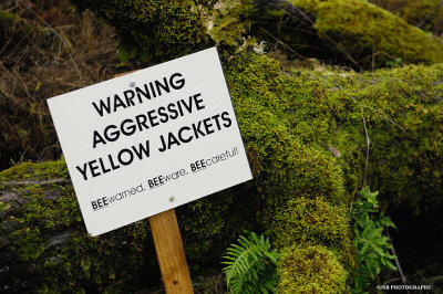 BEEwarnned, BEEware, BEEcareful!