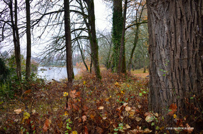 Another wet day!