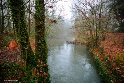Water way through alton baker park