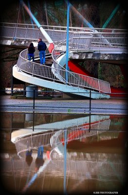 Reflections in the pond