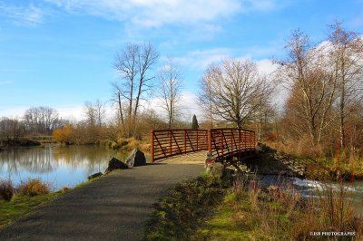 Foot bridge at the delta ponds