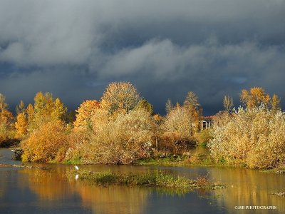 Dark clouds over the delta ponds