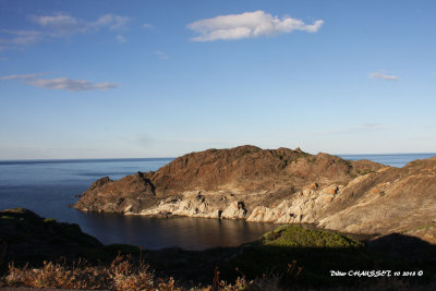 Crique  Cap de Creu (Esp).