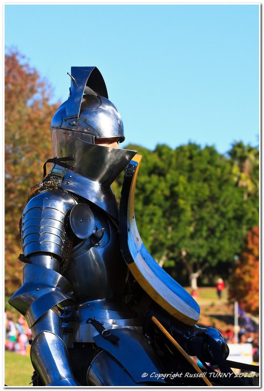 Knight in Shiny Armour