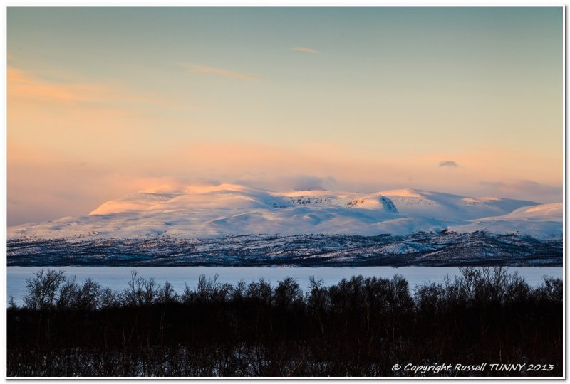 Late Afternoon Light