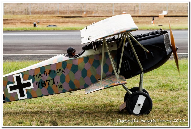 Fokker DVII Albatross from WW1