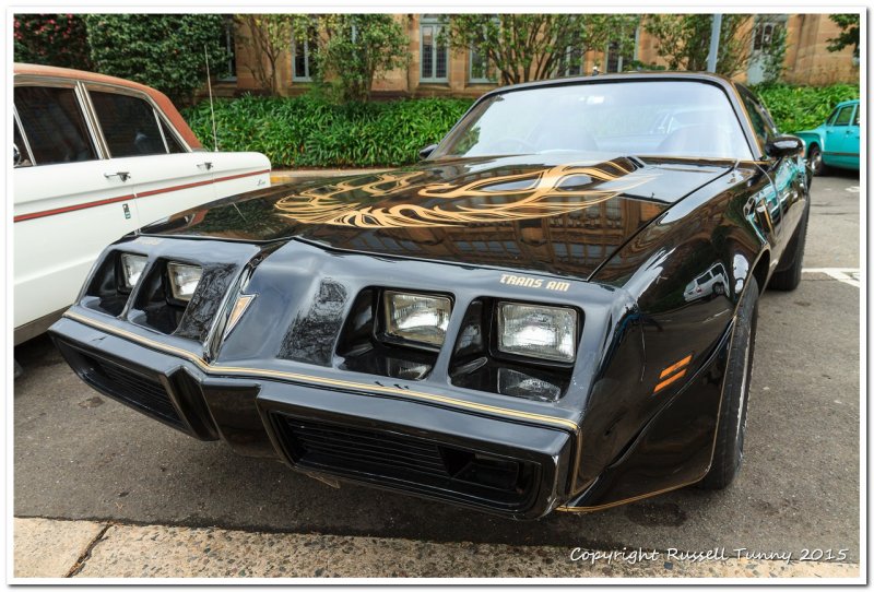 1980 Pontiac Firebird Trans Am