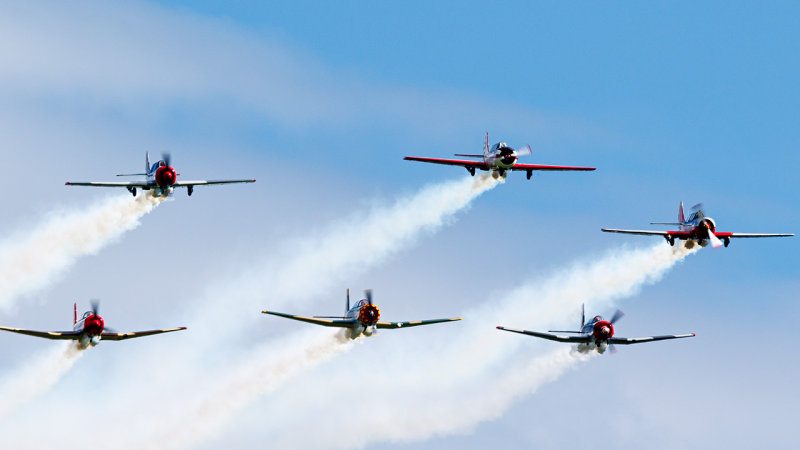 Russian Roolettes Aerobatics Team