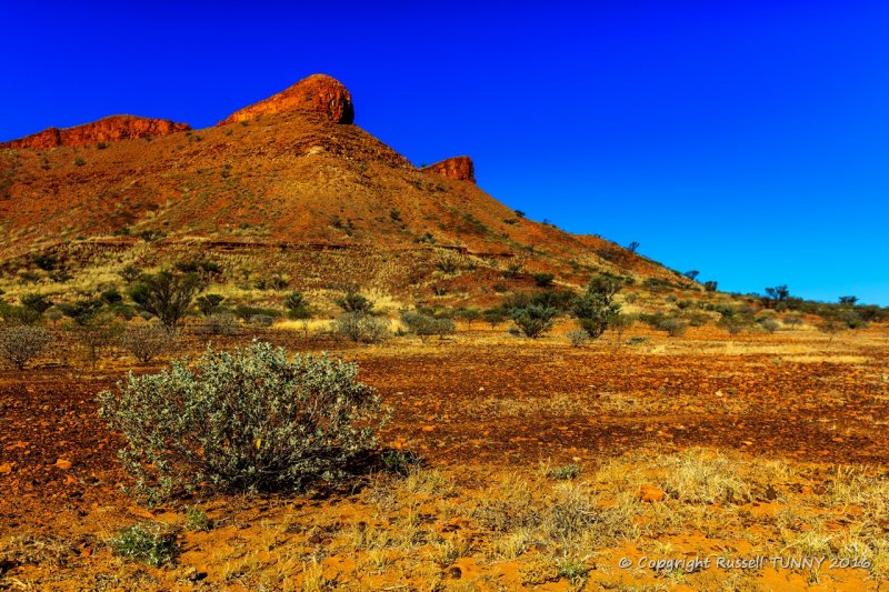 Spinifex, Red Rock & Blue Sky