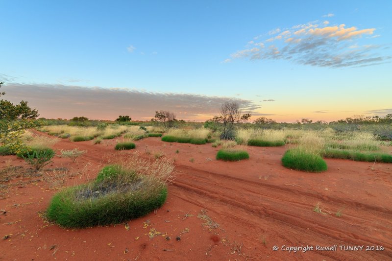 Spinifex & Sand