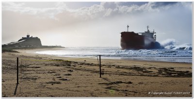 MV Pasha Bulker 