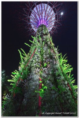 Gardens by the Bay Living Sculpture + Moon