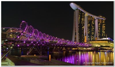 Double Helix Bridge in Purple
