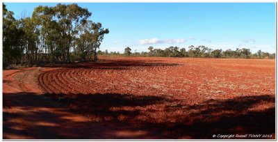 Ploughed Field Pano