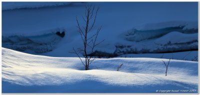 Snow Growth