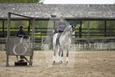 National Dressage Beaulieu 
