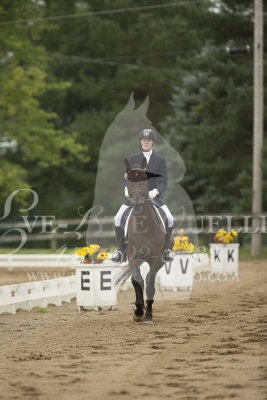 29 - Samantha Fehr et Decantus 