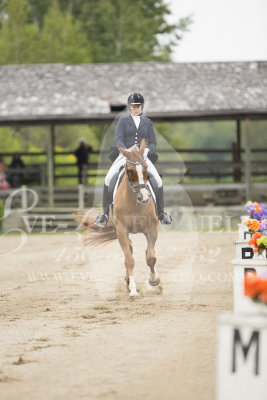 84 - Chlo Pantridge et Sir D'Artagnan