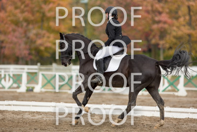 _EQ_5865.jpg