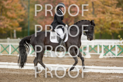 _EQ_5882.jpg