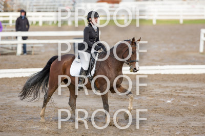 _EQ_5619.jpg