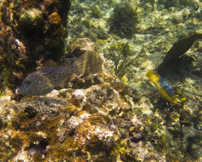 2013 06 12_0212_edited-2.jpg