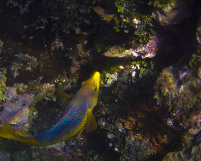 2013 06 13_0184_edited-2.jpg