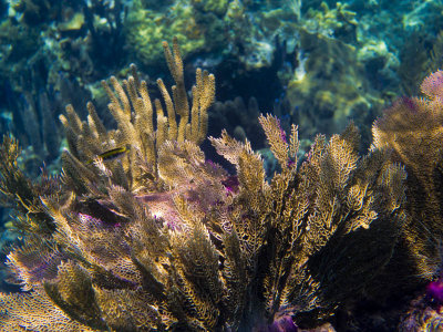 2013 06 13_0195_edited-2.jpg