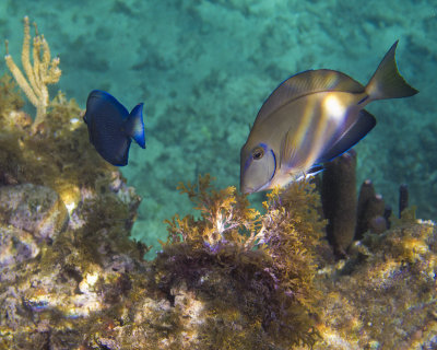 DSC_1272_edited-2.jpg