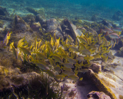 P1072714_edited-2.jpg