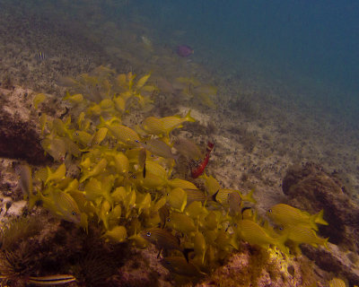 P1082812_edited-2.jpg