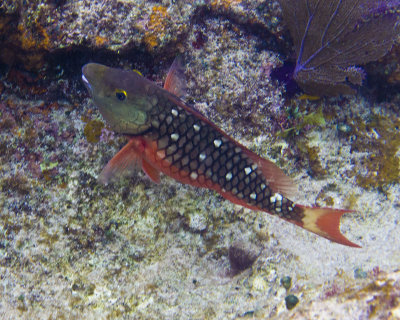 P1163331_edited-2.jpg