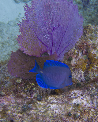 P1163432_edited-2.jpg