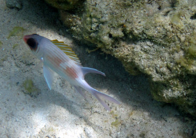 Photo 008_edited-2.jpg